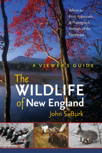 Wildlife of New England