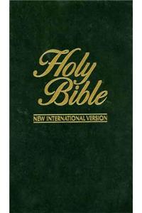 Holy Bible-NIV