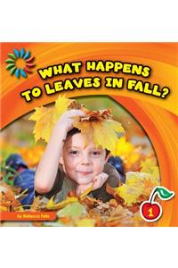 What Happens to Leaves in Fall?