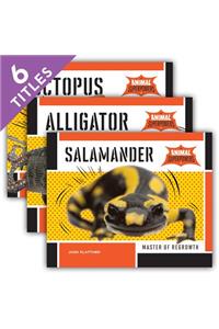 Animal Superpowers (Set)