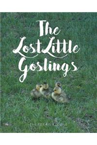 The Lost Little Goslings
