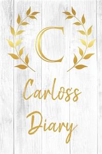 Carlos's Diary