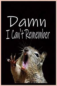 Damn I Can't Remember. Help