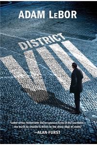 District VIII