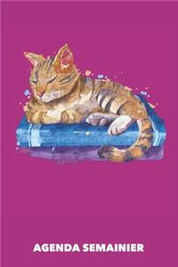 Agenda Semainier