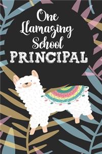One llamazing School Principal