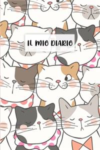 Il Mio Diario
