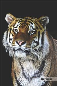 Tiger Notebook
