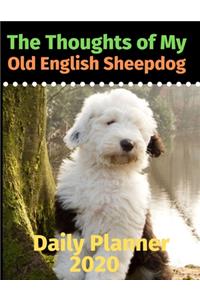 The Thoughts of My Old English Sheepdog