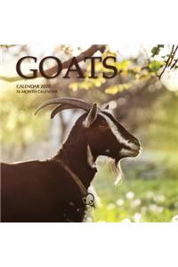 Goats Calendar 2020