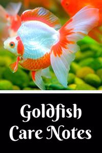 Goldfish Care Notes