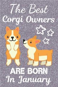 The Best Corgi Owners Are Born In January