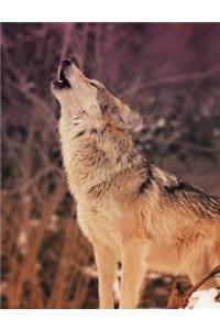 Snow Wolf Composition Notebook, Blank Sketch Paper