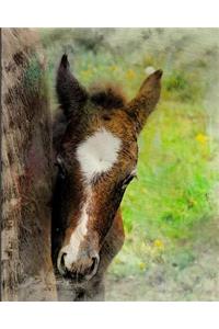 Horse Notebook