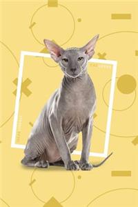 Cat Lover Ideas Journal