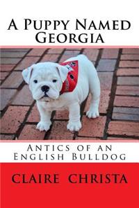 Puppy Named Georgia