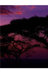 Scenery Beauty Beautiful Landscape Photography Picture Love Romance Romantic