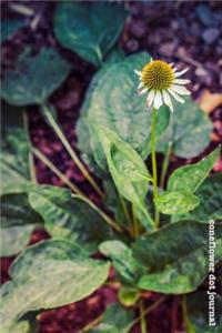 Coneflower Dot Journal: Strength and Health