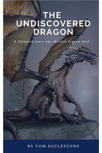 Undercover Dragon
