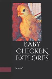 Baby Chicken Explores