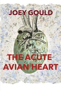 Acute Avian Heart