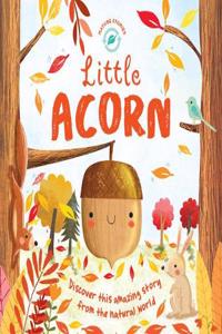 Little Acorn