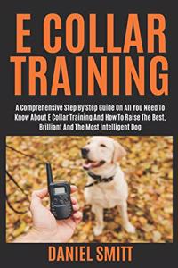 E Collar Training