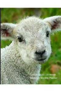 2019 - 2020 18 Month Weekly & Monthly Planner