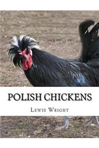 Polish Chickens