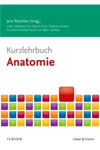 Kurzlehrbuch Anatomie