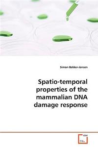 Spatio-temporal properties of the mammalian DNA damage response
