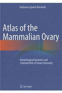 Atlas of the Mammalian Ovary