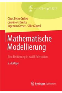 Mathematische Modellierung