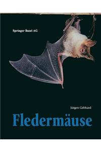 Fledermäuse