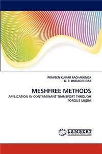 Meshfree Methods