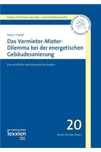 Das Vermieter-Mieter-Dilemma Bei Der Energetischen Gebaudesanierung