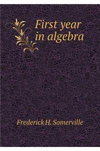 First year in algebra