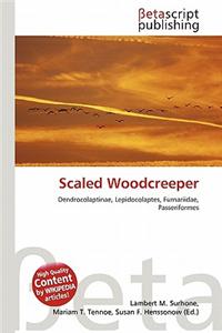 Scaled Woodcreeper
