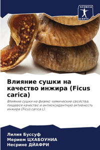 Влияние сушки на качество инжира (Ficus carica)