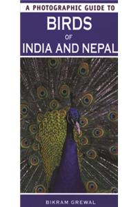 Birds Of India And Nepal