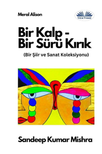 Bir Kalp-Bir Sürü Kırık - Bir Şiir Ve Sanat Koleksiyonu