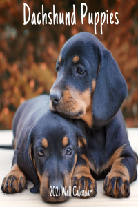 Dachshund Puppies 2021 Wall Calendar: Dachshund Puppies Calendar 2021,18 Months.