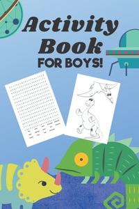 Activity Book For Boys: Puzzles, Brain Teasers, Drawing And Coloring For Boys