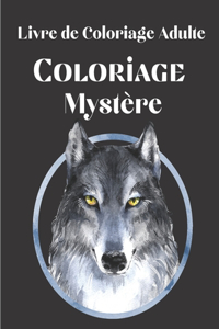 Livre de Coloriage Adulte - Coloriage Mystère