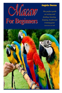 Macaw for Beginners