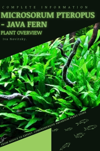 Microsorum Pteropus - Java Fern