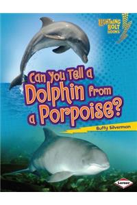 Can You Tell a Dolphin from a Porpoise?