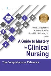 Guide to Mastery in Clinical Nursing