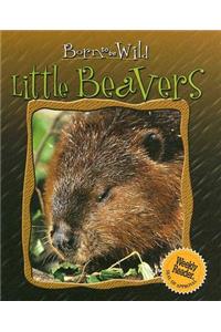 Little Beavers