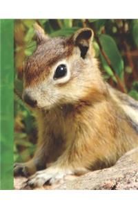 Cute Girly Colorado Critter Wide-ruled School Composition Lined Notebook